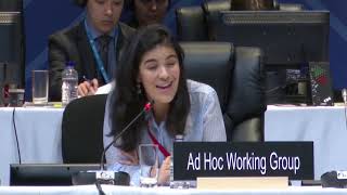 2019 12 14am 14th session of the Intergovernmental Committee of the 2003 Convention -16