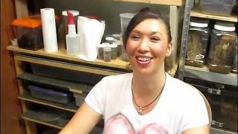 Green Bottle Blue by Deadly Tarantula Girl