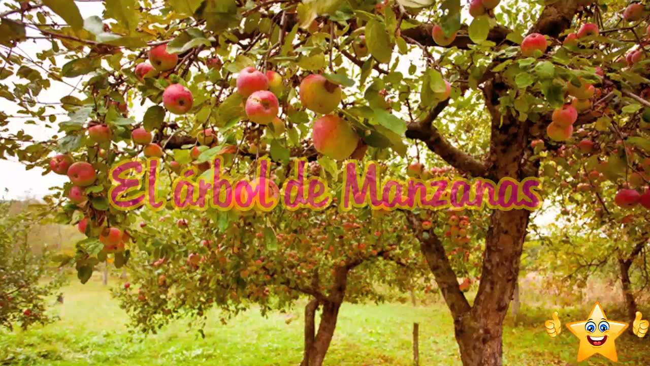 Resultado de imagen para el arbol de manzana
