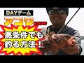 瀬戸内ロックフィッシュ攻略。アコウ(キジハタ)デイゲーム適当にやりながら要所要所で凄い大事な事を言ってます。 地球遊び#58