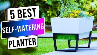 Best Self-Watering Planters 2024 | Top 5'' Self Watering Plant Pot - Review