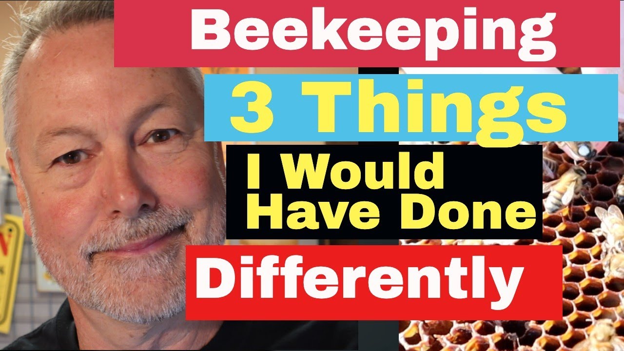 Beekeeping | Three Things I Would Have Done Differently - YouTube