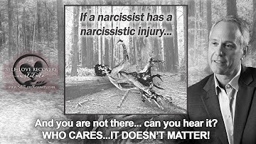 The Power of Not Caring or Being Afraid Of A Narcissistic Injury. Observe Don
