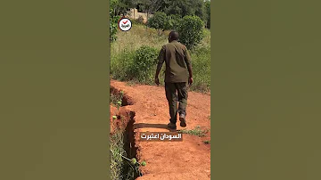 السودان صرخات الجوع تتعالى من سلة غذاء العالم على وقع الرصاص 