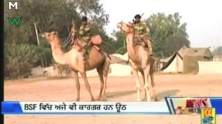 BSF-Camel Cavalry