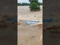 Dhanua river flood  achyutpur bbsr