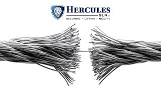Celebrity Inside the Test Bed | Hercules Brampton Wealth