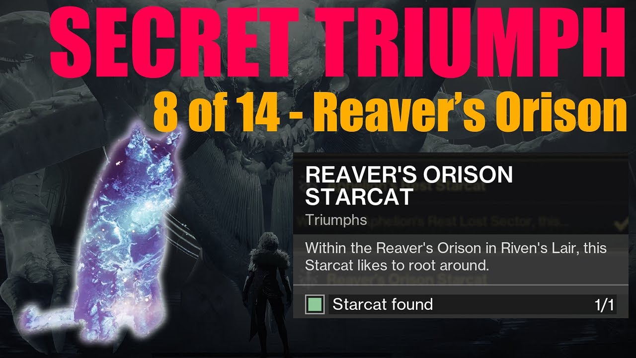 Starcat 8 of 14 - Reaver's Orison (Destiny 2)