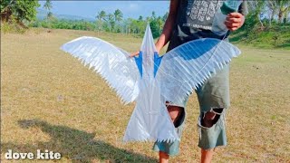 How to make a dove kite from a coconut stick