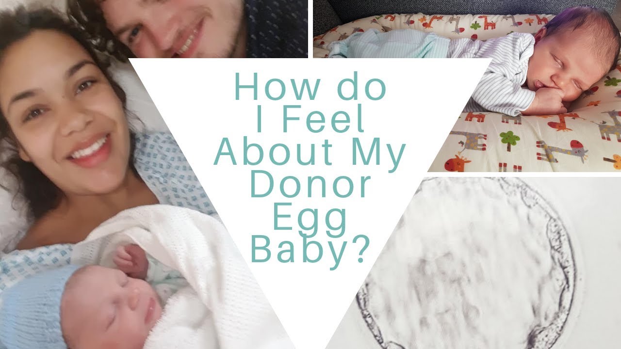 donor egg baby looks like me