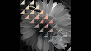 IMG 20230119 WA0013 1
