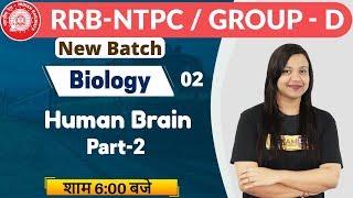 Class 02 || RRB NTPC (CBT-1) || Biology || By Amrita Maam || Human Brain Part-2