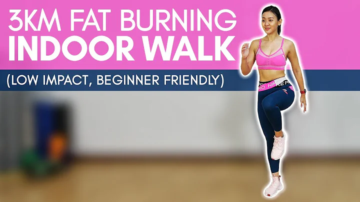 3KM Fat Burning Indoor Walk (Burn up to 400 Calori...