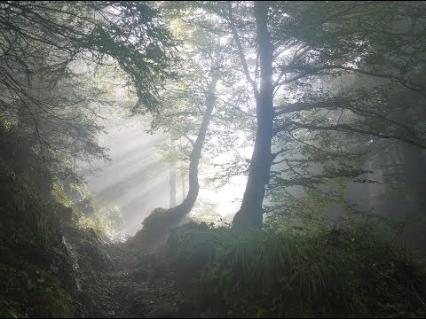 LA SPERANZA : CITAZIONI FAMOSE