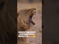 reapareció #romeosantos en #instagram con esta historia que trama #elreydelabachata #aventura #rd
