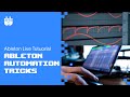 Ableton Automation Tricks