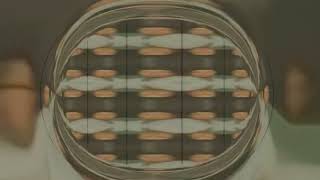 DJO - END OF BEGGING ROMPSTYLE ELECTRIC C0CK SYDROMNEREMIX