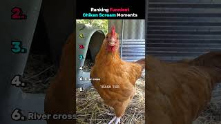Ranking Funniest Chiken Scream Moments!