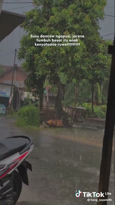 KATA KATA dancow ngapusi😔