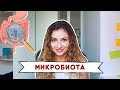 Микробиота, как кормить свои бактерии?!