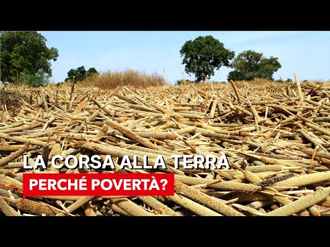 Video: Perché è importante che gli agricoltori coltivino la loro terra?