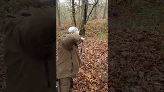 FSOTD - 3d Squirrel Target - Uukha Barebow Rig #archery #sport #outdoors #hobby #practice #fun #nice