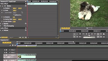 Transforming Video Clips - Adobe Premiere Pro CS5 Video Tutorials
