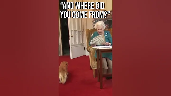 Adorable moment between the late Queen Elizabeth and one of her corgis