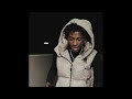 [FREE FOR PROFIT] NBA Youngboy Type Beat 2024 - "Irreversible"