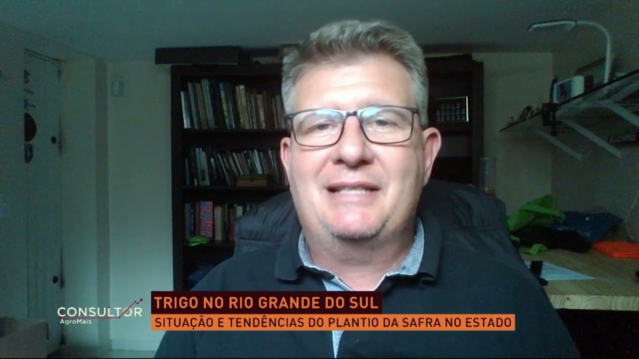 Consultor AgroMais: Tendências da produção e do mercado do Trigo