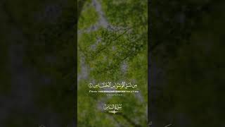 Download Lagu Surah Al-Nas | Healing Through Quran | سورة الناس MP3