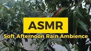 ASMR Soft Afternoon Rain Ambience in 5 minutes screenshot 5