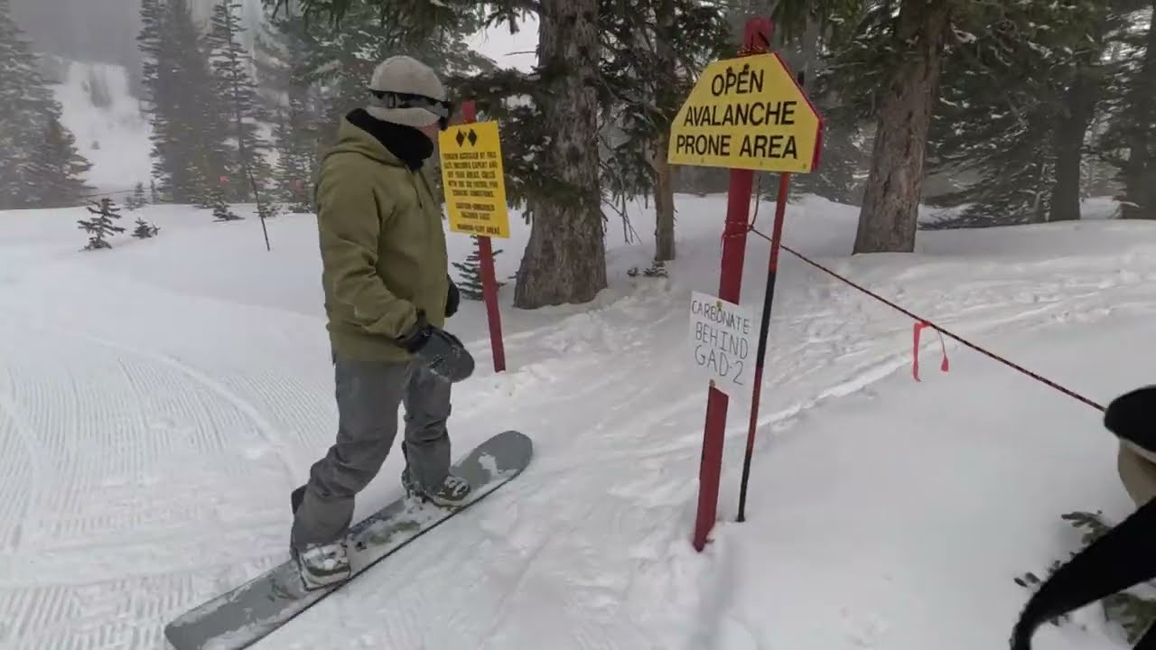 Run 1 Snowbird 2/13/2026