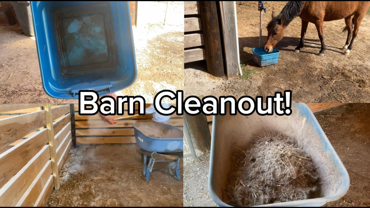 Barn clean out! - YouTube