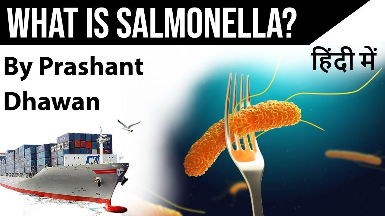 What is Salmonella? क्या है साल्मोनेला बैक्टीरिया Current Affairs 2019