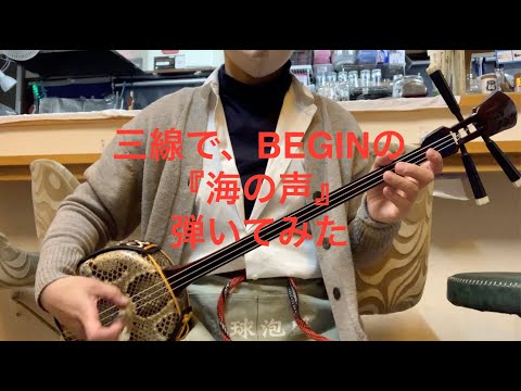海の声　BEGINカバー　 三線で弾いてみた