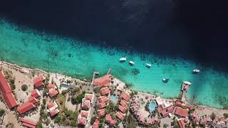 Download Lagu Buddy dive  Resort Bonaire  westdive