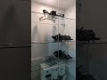 Drone Rumahan sedang live sekarang!