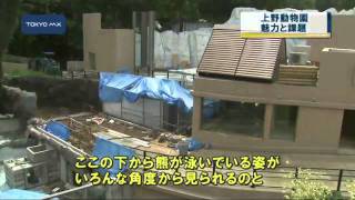 新園長に聞く　魅力ある上野動物園へ