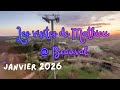 Les Visites de Mathieu à Beauval - Janvier 2026