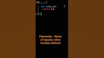 Python Parameter vs Argument