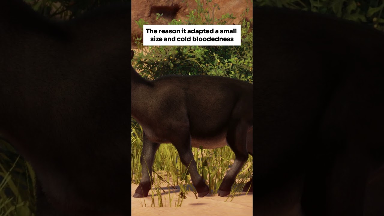 The goat that was cold-blooded