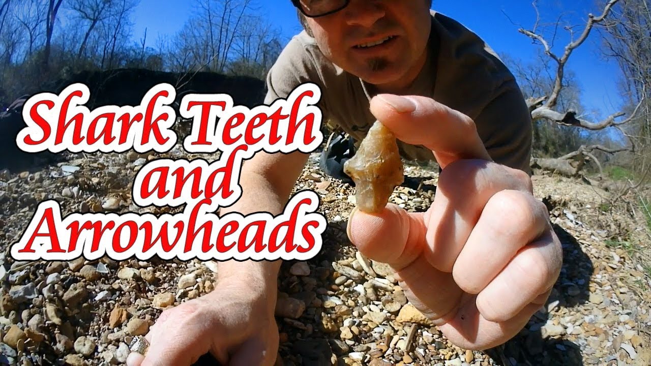 Repeat: More Arrowheads and Sharks Teeth