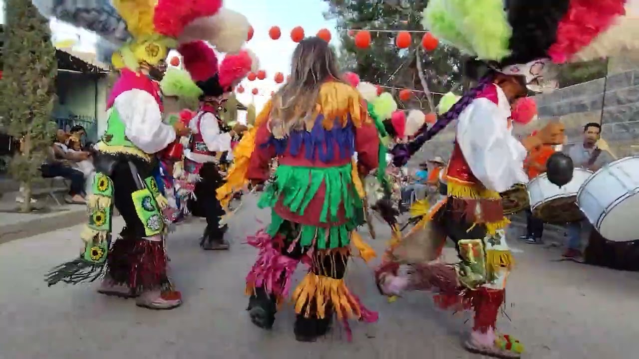 Danza las pollas de Aguagorda villa gracias Zac.