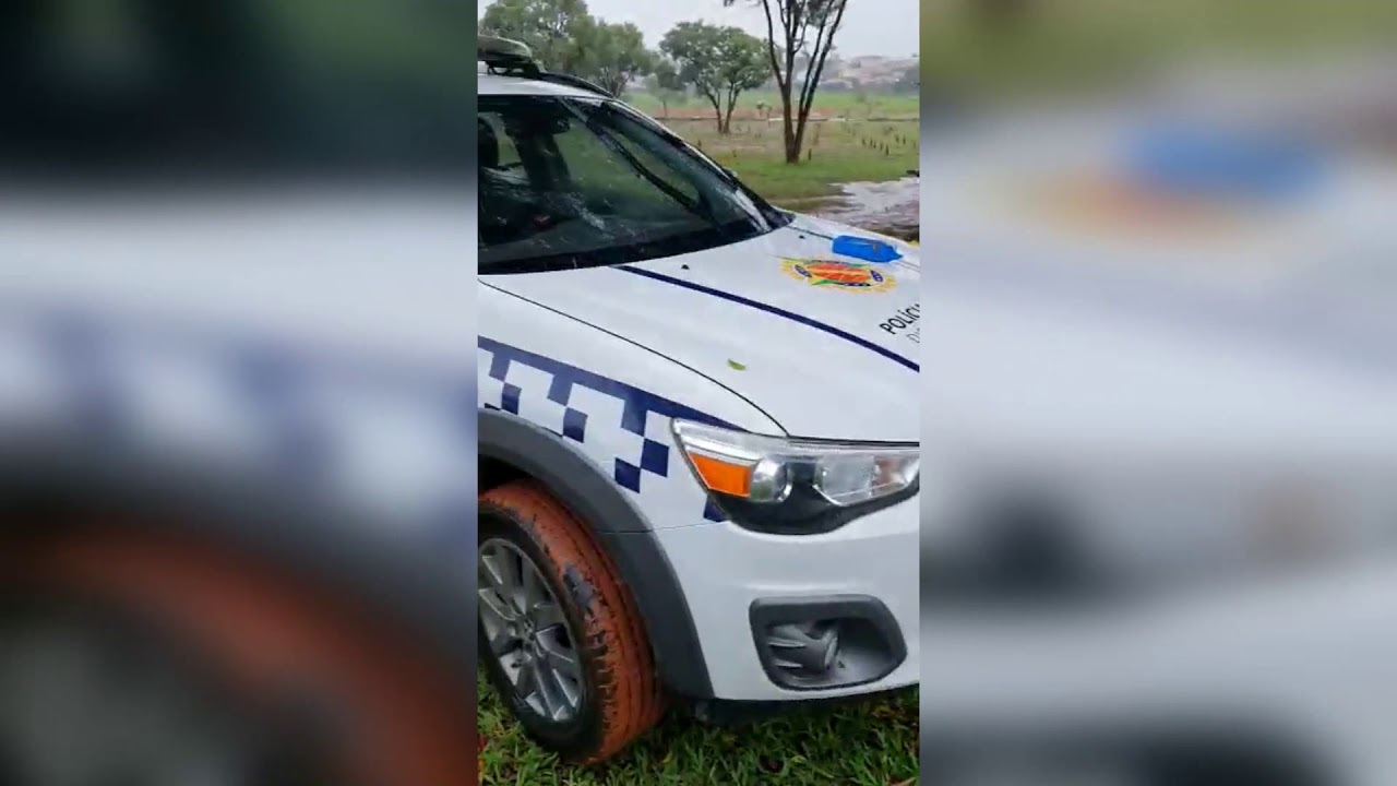 Moment Brazil Cop Dog Sniffs Out Drugs In Cemetery Grave