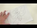 How to draw a cartoon butterfly with johnmarc