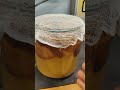how to make kvass from ingredients in the usa?