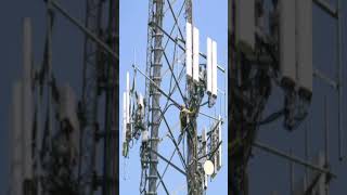How Multiple Carriers Share One Tower #cellservice #infrastructure #wireless