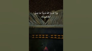 ولا تحسبن الله غافلاً عما يعمل الظالمون | الشيخ سعد الغامدي | تلاوة خاشعة