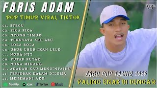 Download Lagu Faris Adam - STECU | Juan Reza - PICA PICA | NYONG TIMUR || LAGU POP TIMUR VIRAL TIKTOK 2025 MP3